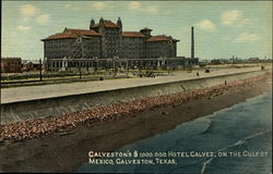 Hotel Galvez Galveston, TX Postcard Postcard Postcard