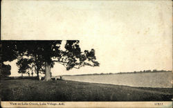 View on Lake Chicot Lake Village, AR Postcard Postcard Postcard