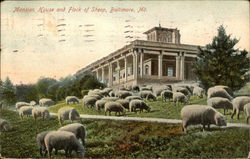 Mansion House and Flock of Sheep Baltimore, MD Postcard Postcard Postcard