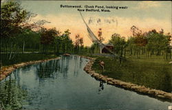 Buttonwood (Duck Pond) Looking West Postcard