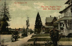 Residential Street - Naglee Tract Postcard