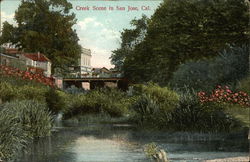 Creek Scene San Jose, CA Postcard Postcard Postcard