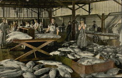 Group of Men Working at a Fish Processing Facility Fishing Postcard Postcard Postcard