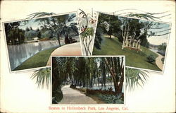 Scenes in Hollenbeck Park Postcard