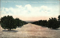 Orange Groves, Edison Land & Water Company, Kern County Postcard