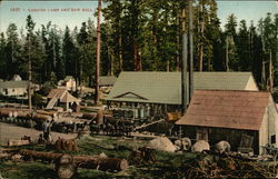 Lumber Camp and Saw Mill Logging Postcard Postcard Postcard