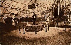 National Orange Show, 1912 Postcard