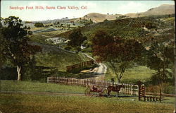 Saratoga Foot Hills, Santa Clara Valley California Postcard Postcard Postcard