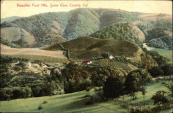 Beautiful Foot Hills, Santa Clara County California Postcard Postcard Postcard