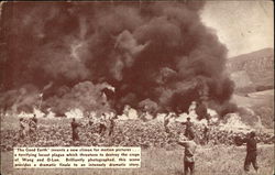 Scene from the Film "The Good Earth" - Field on Fire Movie and Television Advertising Postcard Postcard Postcard