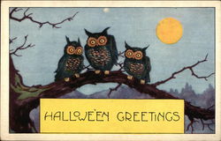 Halloween Greetings - Three Owls Postcard Postcard Postcard