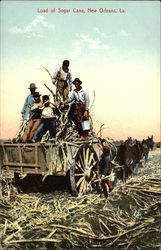 Load of Sugar Cane in New Orleans, LA Farming Postcard Postcard Postcard