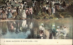 A Negro Baptizing in Dixie Land Black Americana Postcard Postcard Postcard