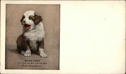 Hood's Sarsparilla "Born Tired" - Puppy Yawning Postcard