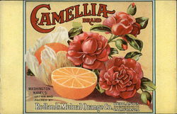 Advertisement for Camellia Brand Oranges with Flowers Redlands, CA Advertising Postcard Postcard Postcard