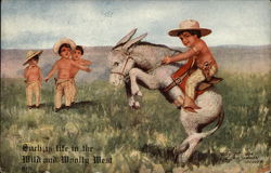 Four small boys dressed as cowboys, one of them riding a donkey Rodeos Postcard Postcard Postcard