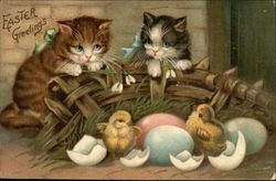 Two Kittens and Easter Chicks Hatching With Chicks Postcard Postcard Postcard