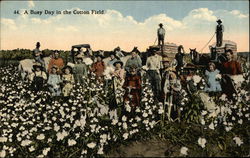 A Busy Day In The Cotton Field Postcard