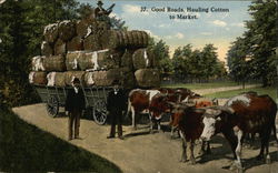 Good Roads. Hauling Cotton To Market Farming Postcard Postcard Postcard