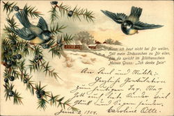 Bluebirds, Berries, Winter Scene - German Language Postcard Postcard Postcard