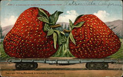 A Carload of Mammoth Strawberries from Watsonville California Exaggeration Postcard Postcard Postcard