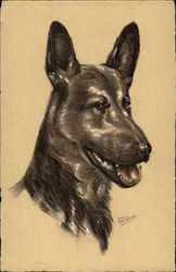 Portrait of a Dog Dogs Postcard Postcard