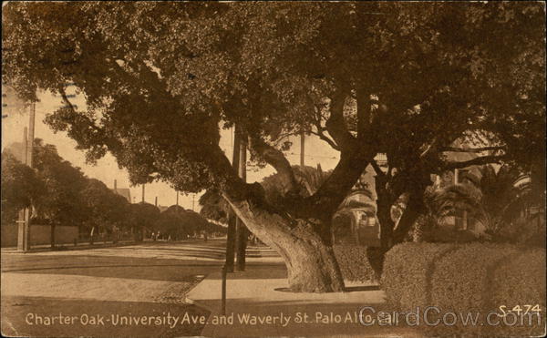 Charter Oak - University Avenue and Waverly Street Palo Alto, CA Postcard