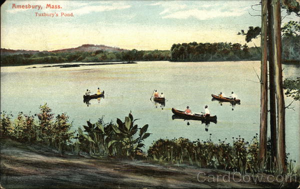 Tuxbury's Pond Amesbury, MA Postcard
