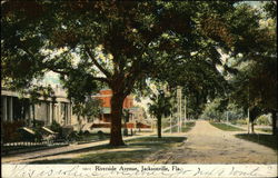 Riverside Avenue Jacksonville, FL Postcard Postcard Postcard