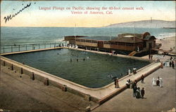 Largest Plunge on Pacific Postcard