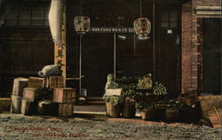 Chinese Grocery Store Postcard