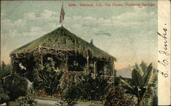 Tea House, Piedmont Springs Oakland, CA Postcard Postcard Postcard