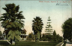 Private Grounds, Figueroa Street Postcard