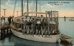 Fish Catch, Stranger Boat Miami, FL Postcard Postcard Postcard