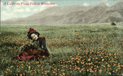 Californian Poppy Field In Winter Postcard