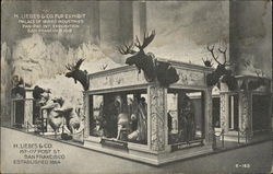 H. Liebes & Co. Fur Exhibit, Palace of Varied Industries Postcard