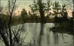 View of the Pond Postcard