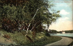 Chestnut Hill Reservoir Postcard