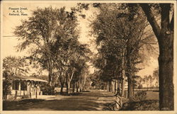 Scenic View of Pleasant Street Postcard