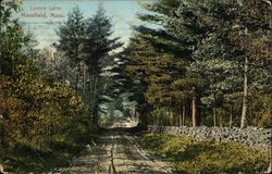 Scenic View of Lovers Lane Postcard