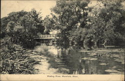 Wading River Mansfield, MA Postcard Postcard Postcard