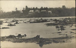 Pond Scene Foxboro, MA Postcard Postcard Postcard