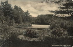 Lake Pearl - Red Spring Cove Postcard