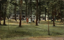 Picnic Grove Postcard