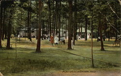 Picnic Grove Postcard