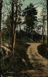 Lovers Lane, Hopedale Park Massachusetts Postcard Postcard Postcard