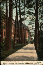 State Normal School - The Grove Walk Framingham, MA Postcard Postcard Postcard