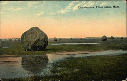 Scenic View of The Marshes Postcard