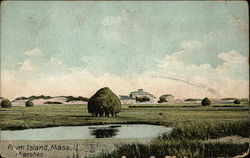 Scenic View of The Marshes Postcard