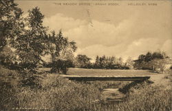 The Meadow Bridge at Waban Brook Wellesley, MA Postcard Postcard Postcard